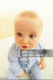 2,674,529 Daniel Along Stock Photos, High-Res Pictures, and Images