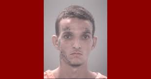 21-year-old MICHAEL FRITH arrested, 4 charges including THEFT GRAND 20K  LESS THAN 100K DOLS! #Mugshots https://pascocountyarrests.com/news/ michael-frith-of-hudson/