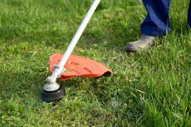 Cut the grass lower in the fall, and make sure it's short before snow covers it. 5 Creative Ways To Cut Grass Without A Lawnmower My Backyard Life