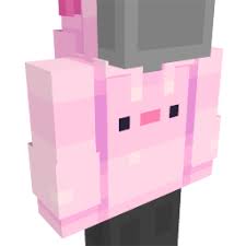 Common causes range from illness to injury to inflammation. Axolotl Hoodie In Minecraft Marketplace Minecraft