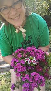 Dianthus, also called Sweet William is one of the most beautifully scented  garden flowers. I love them so much. They are a biannual which means they  just grow leaves the first year and then bloom the ...