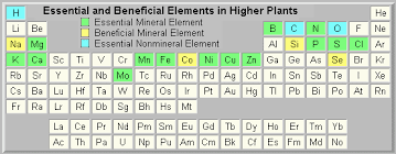 list of essential elements