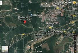 Which bus lines stop near pasti nurul hidayah 1, jalan batu 8 42500 telok panglima garang? 42500 Telok Panglima Garang