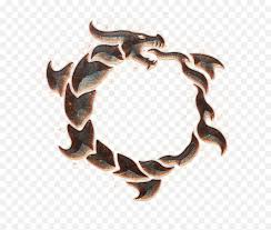Here you can explore hq ouroboros transparent illustrations, icons and clipart with filter setting like size, type, color etc. Download Hd Oroboros Ouroboros Tattoo Snake Dragon Ouroboros Tattoo Png Snake Tattoo Png Free Transparent Png Images Pngaaa Com