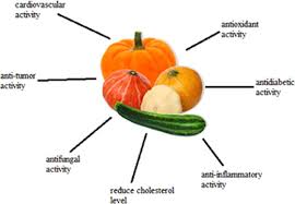 Image result for Cucurbitaceae
