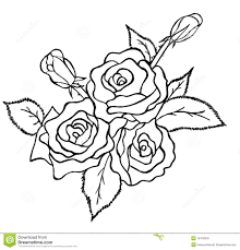 Bunch Of Roses Sketch On White Background Pencil Drawing Roses Drawing Rose Drawing Simple Pencil Drawings Of Flowers Rose drawings are just as enthralling and as captivating as the real roses. pencil drawing roses drawing