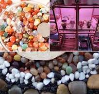 Amazon.com: Natural Polished Pebble Mixed Colour Pebbles 1 lb Decorative  Stone Glass Gravel for Landscapin Vase Fillers Succulents Aquarium : Pet ...