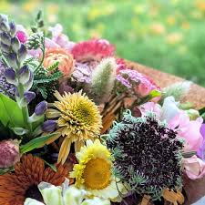Everything you love about amazon, designed for your business. About Hummingbird Flower Co