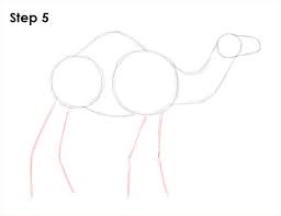 But the circles don't have to be perfect. How To Draw A Camel