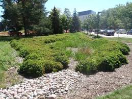 Bioretention And Rain Gardens Sustainable Technologies Evaluation Program Step