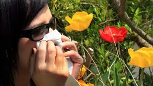 Allergi er en tilstand som skyldes et hyperaktivt immunsystem. Angioodem Nhi No