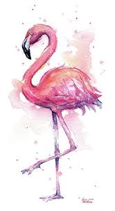 Pink Flamingo Watercolor Tropical Bird Art Print By Olga Shvartsur Bird Art Print Flamingo Art Bird Art