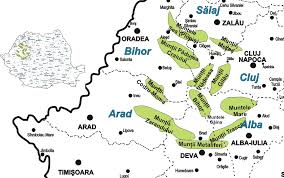Este impartita in 9 regiuni (banat, bucovina, crisana, dobrogea, maramures, moldova, muntenia, oltenia si trasilvania), 41 de judete plus municipiul bucuresti si are in total 320 de orase. MunÈ›ii Apuseni Wikivoyage