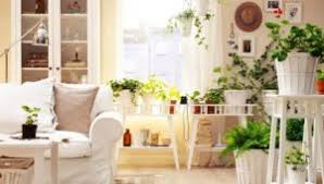 Maybe you would like to learn more about one of these? Deite Pws 8a Ftia3ete Mia Paradeisenia Beranta Spirossoulis Com The Home Issue