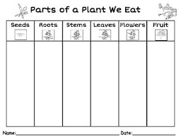 Parts Of A Plant We Eat Parts Of A Plant Summer School Activities Plant Science