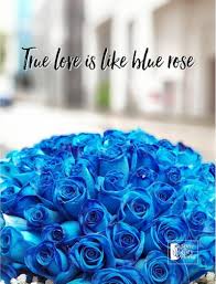 Tons of awesome blue roses background to download for free. How To Create Blue Roses Infographic 24hrs City Florist