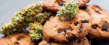 Weed Cookies How To Make Cannabis Cookies Olivastu