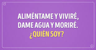 Casi imposible de resolver juego divertido para niños con respuesta. 17 Acertijos Para Ninos Que No Cualquier Adulto Solucionaria