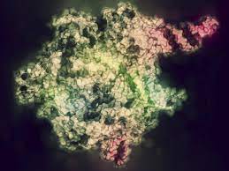 Crispr Research Moves Out Of Labs And Into Clinics Around The World Shots Health News Npr