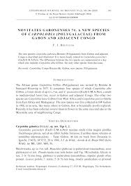 Image result for Carpolobia goetzei