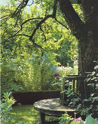 Runde Baumbank Baumbank Garten Draussen