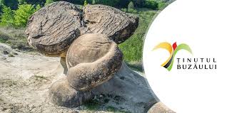 Tara luanei, un univers enigmatic. TrovanÈii De La Ulmet Arie ProtejatÄ Incepand Cu 2018 Èinutul BuzÄului