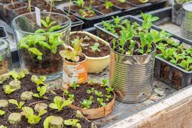 Pourquoi opter pour un salon en palette pour sublimer votre jardin ? Idees Recup Et Astuces Pour Faire Des Economies Au Jardin