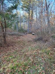 Eileen Street Acushnet MA 7 MLS# 73089815