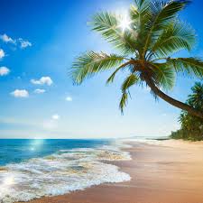 Therefore, it might be best to use a reference photo to assure accuracy. Stream Paradise Beach Ocean Waves Sound 75 Minutes By Relaxing White Noise Listen Online For Free On Soundcloud