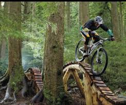 Now That S A Roller Coaster I Want To Ride Bmx Mountain Bike Mountain Bike Trails Downhill Mountain Biking