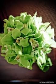 Wholesale flowers, plants, pottery and garden our cut flower selections this week are unmatched! Metropolitan Wholesale 285 N Midland Ave Saddle Brook Nj Nonclassified Establishments Mapquest