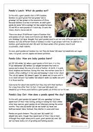 What do pandas eat and how often? Reading 1 What Do You Know About Giant Pandas Worksheet Free Esl Printable Worksheets Made By Teachers Panda Reading Reading Comprehension Worksheets