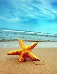 Obituary information for Calvin M. Dolan, Sr.