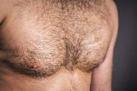 Trust men or have a hairy chest: Gay Twitter™ makes its stance clear by  showing off their fur - Queerty
