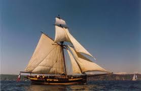 Le Renard De Surcouf Flamanville Grands Voiliers Bateau En Bois