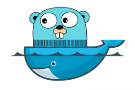 It provides them with the ability to write the code once and then run it anywhere for other platforms, thereby enabling. Why Should Developers Use Golang For Cross Platform Or Native App Development Smart Sight Innovations