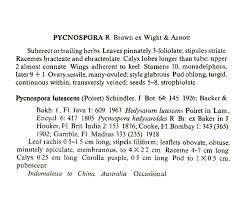 Image result for Pycnospora