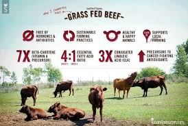 Grass Fed Beef Organic Grass Fed Beef Grass Fed Beef Organic Grass