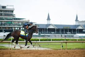 Tapit was good enough to win two stakes races (the grade 3, laurel futurity, and the grade 1 wood. E1gd4 Fvruddqm