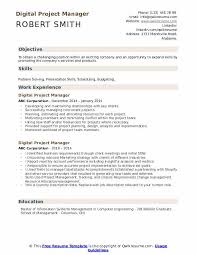 Digital Project Manager Resume Samples Qwikresume