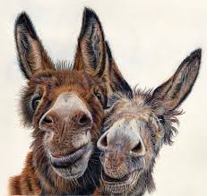 Pin On I Love Donkeys
