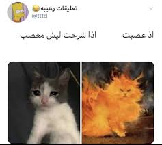 pin by 𝐀 51 on arabic memes in 2021 movie quotes funny fun quotes funny gintama funny