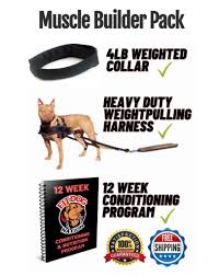 Bechewy is dedicated to helping you keep your pets happy and healthy. Canine Bulking 2 0 Fitdog Nation