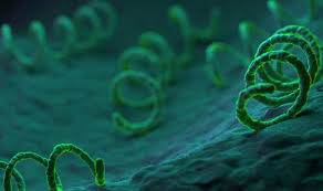 Same day local std testing. Sti Symptom Checker Signs Of Sex Infections Gonorrhoea And Chlamydia Express Co Uk