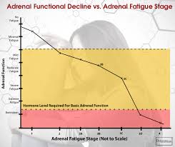 How To Test Your Thyroid Function At Home Drjockers Com