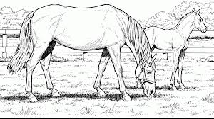 This coloring page was posted on thursday. Horse Jumping Colouring Page 1 Line 17qq Com