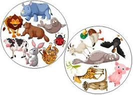 Spot It Dobble Card Game Animals And A Few Insects 57 Cards In 2021 Animal Games Card Games Cards