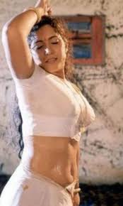 South Indian actresses who did adult movies