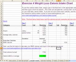 Calorie Intake Chart Weight Loss Tracker And Exercise Tracker