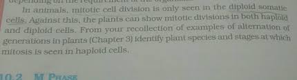 Check spelling or type a new query. In Animals Mitotic Cell Division Is Only Seen In The Diploid Somatic Cells Against This The Plants Can Show Mitotic Divisions In Both Haploid And Diploid Cells From Your Recollection Of Examples